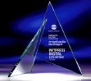 Победа InitPress Digital в номинации «Лучший объём PRO продаж»